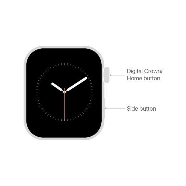 Nút bấm vật lý trên Apple Watch