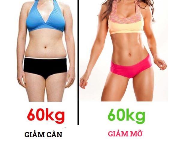 Giảm cân và giảm mỡ khác nhau như thế nào