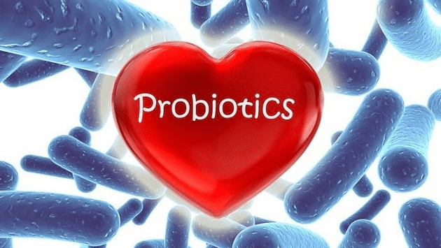 Cách sử dụng đúng cách Probiotic là gì?