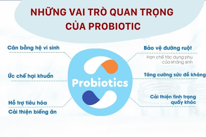 Vai trò quan trọng của Probiotic với hệ tiêu hóa