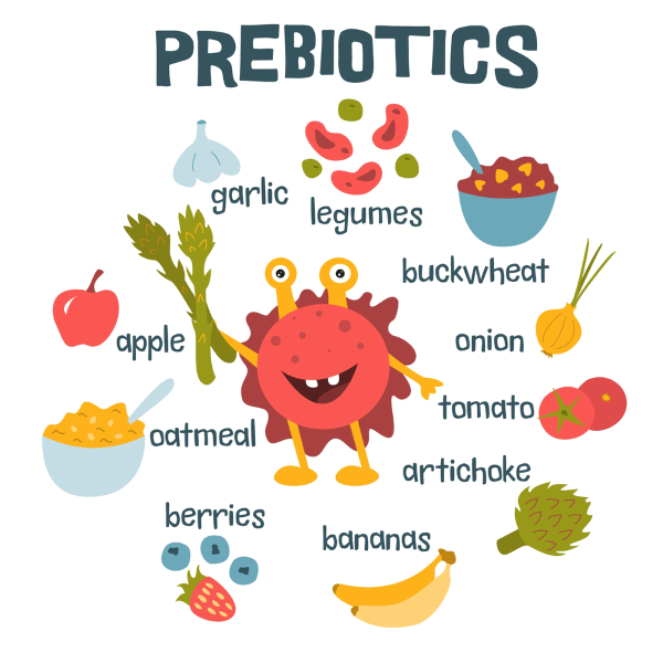 Prebiotics có ở đâu?