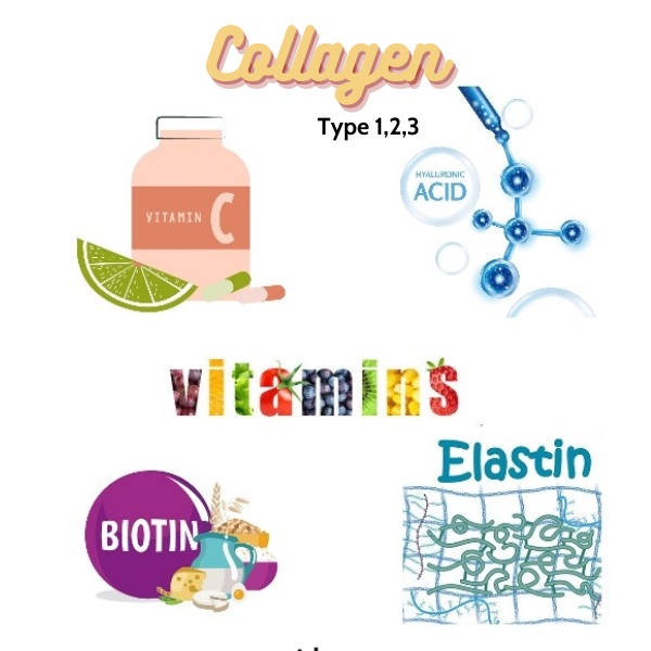 Các thành phần có trong sản phẩm collagen